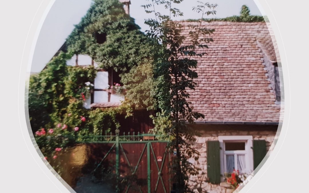 Bar à vin de Harxheim